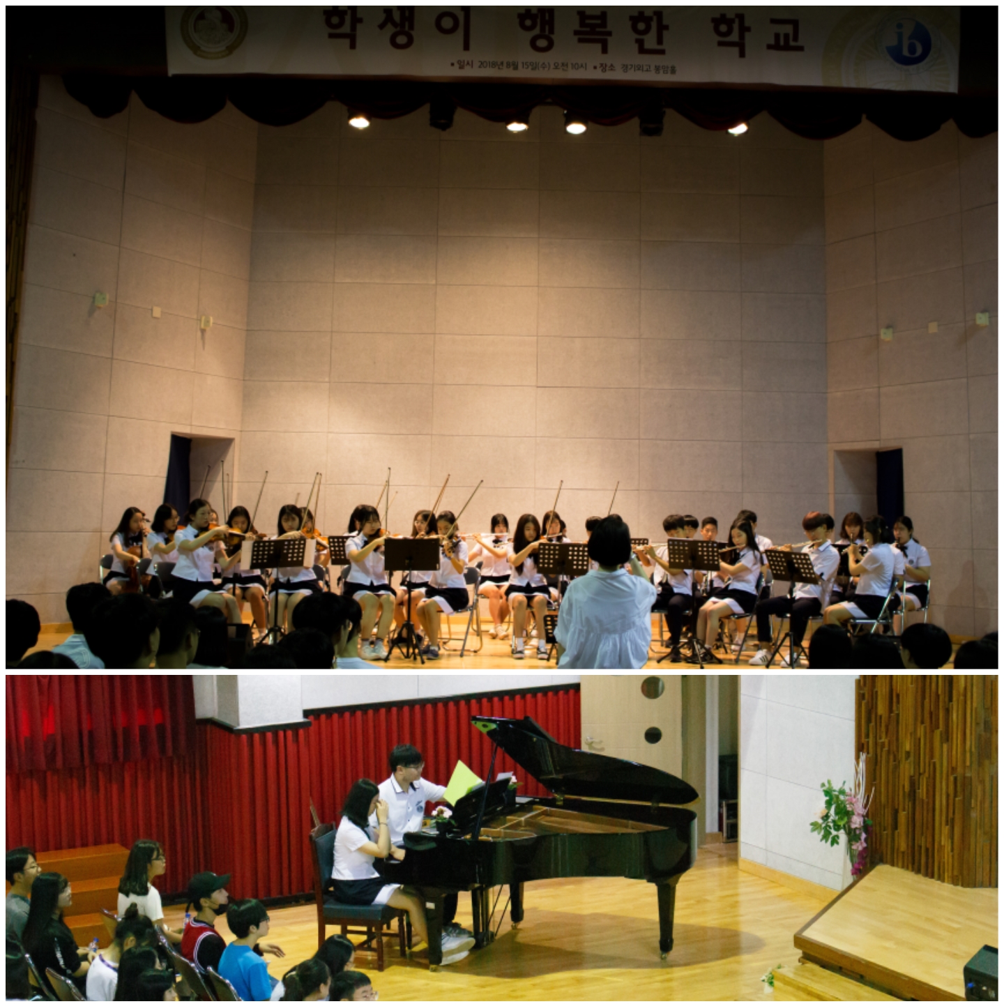 ��ü ���ɽ�Ʈ�� ���Ƹ� ȯ�� ����