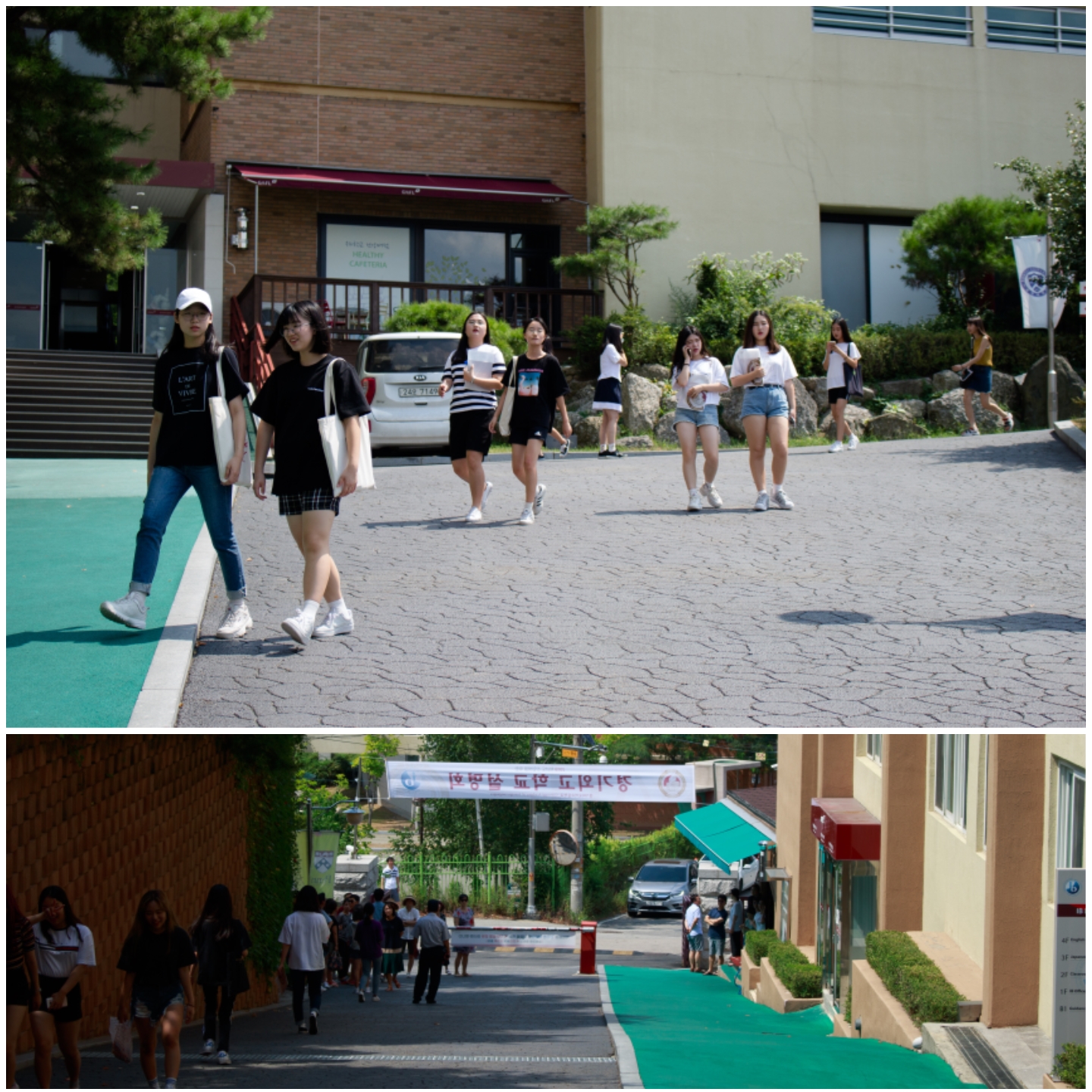 ����ȸ ������ ���ư��� �߰���